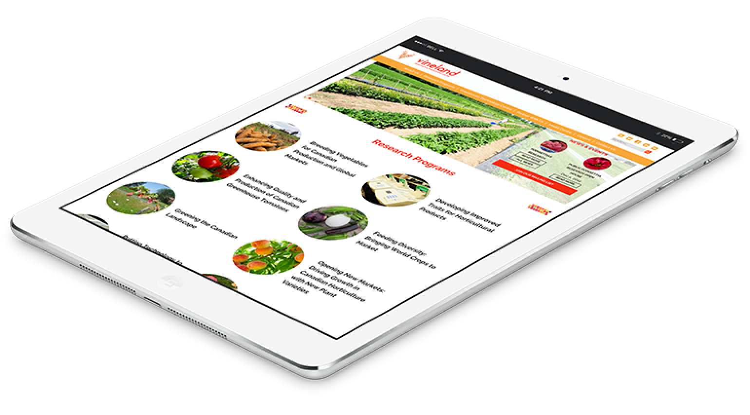 Vineland Research Vineland Research