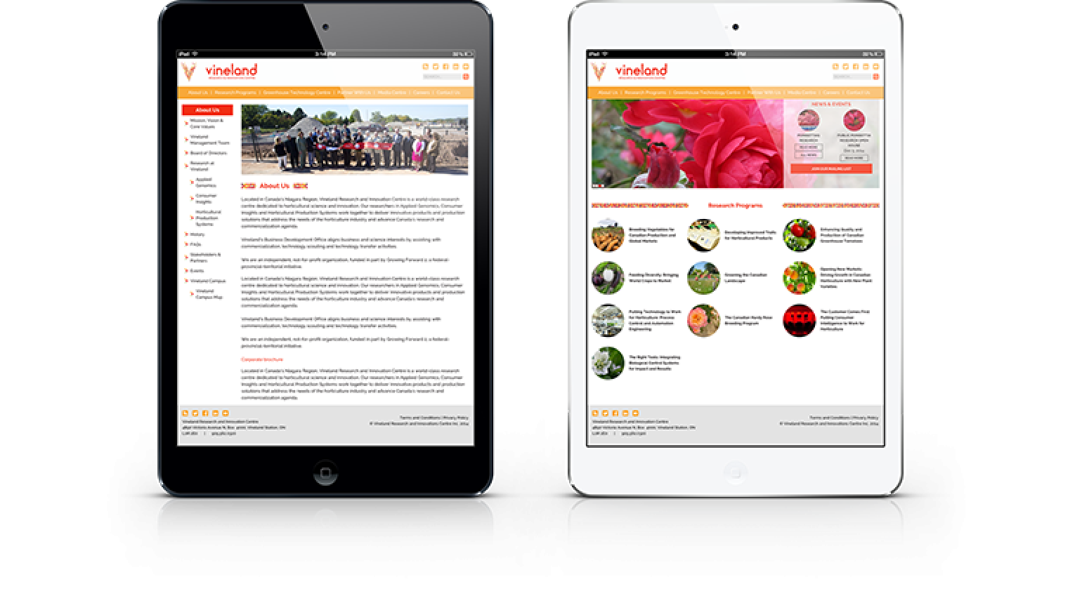 Vineland Research Vineland Research