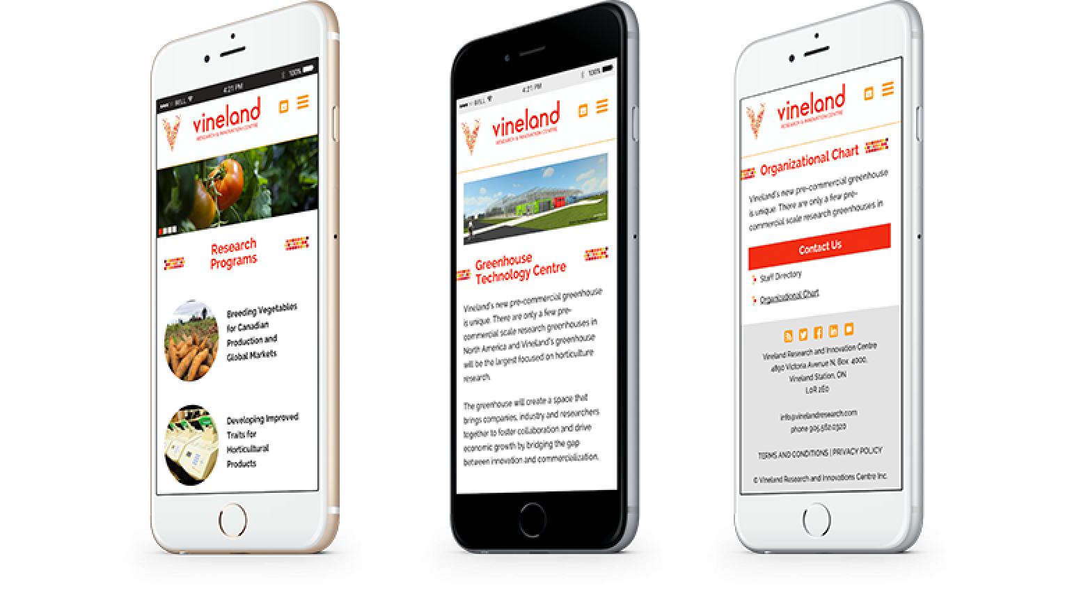 Vineland Research Vineland Research